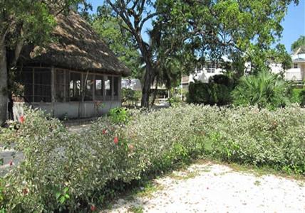 фото отеля Black Orchid Resort