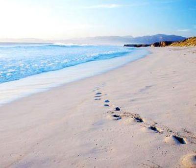 фото отеля Sea Star Lodge Gansbaai