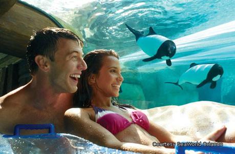 фото отеля Homewood Suites Orlando/International Drive/Convention Center