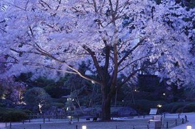 фото отеля Grand Prince Hotel New Takanawa