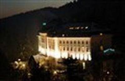 фото отеля Radium Palace