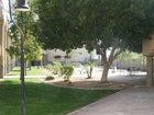 фото отеля Clarion Suites Yuma