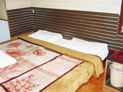 фото отеля Hotel Swastik