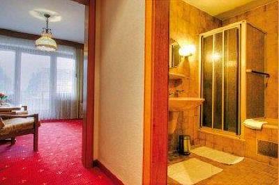фото отеля Schwarzwaldgasthof Hotel Schlossmuhle