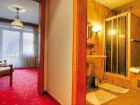 Schwarzwaldgasthof Hotel Schlossmuhle