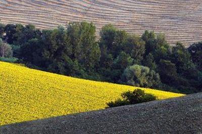 фото отеля Ripabianca agriturismo di charme