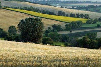 фото отеля Ripabianca agriturismo di charme