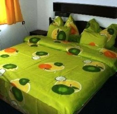 фото отеля Hotel Duha