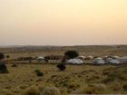 фото отеля Golden Desert Deluxe Camp