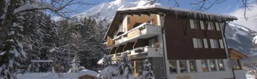 фото отеля Ermitage Hotel Kandersteg