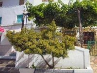 Casa El Parral Sierra De Cazorla