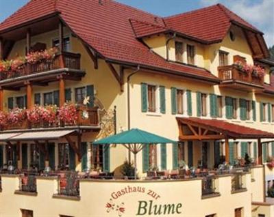 фото отеля Hotel Gasthaus Blume
