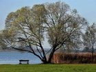 фото отеля Golf Und Wellnesshotel Schloss Teschow
