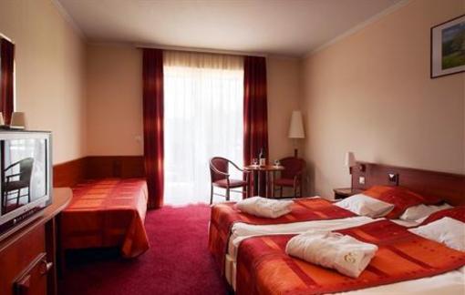 фото отеля Erzsebet Park Hotel Paradfurdo