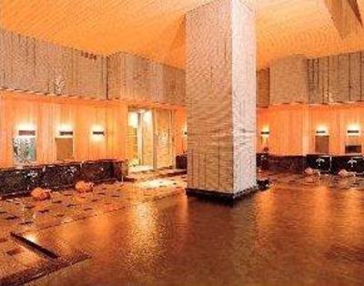фото отеля Hotel Saginoyu