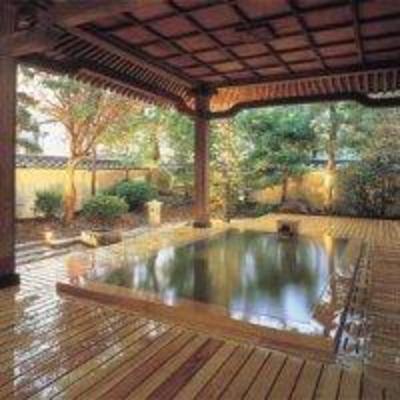 фото отеля Hotel Saginoyu