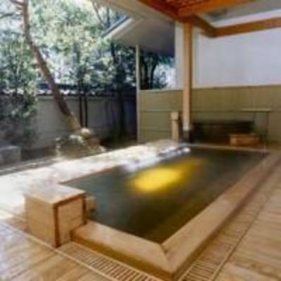 фото отеля Hotel Saginoyu