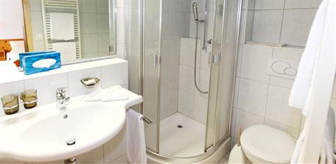 фото отеля Hotel Dischma