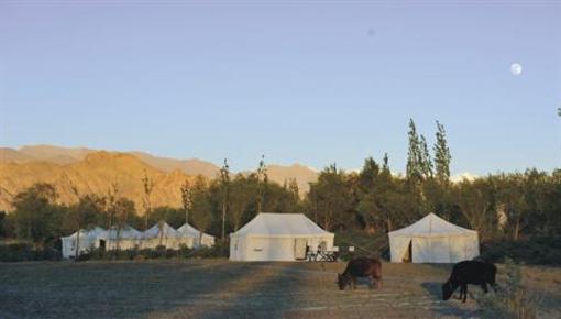 фото отеля Tsermang Eco Camp
