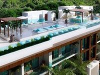 Encanto Palm on 8th