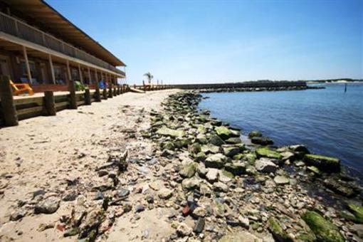 фото отеля Oceanic Motel
