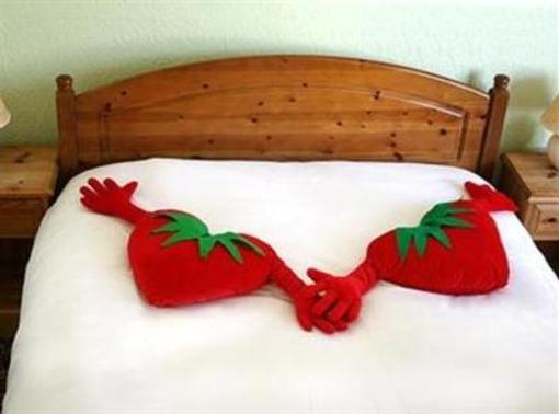 фото отеля Strawberry Fields Hotel Brighton & Hove