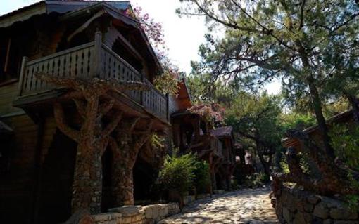 фото отеля Naturland Aqua Resort Camyuva