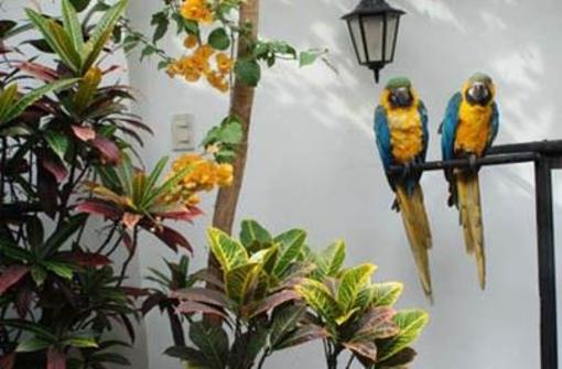 фото отеля Hostal Buena Vista Lima