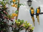 фото отеля Hostal Buena Vista Lima