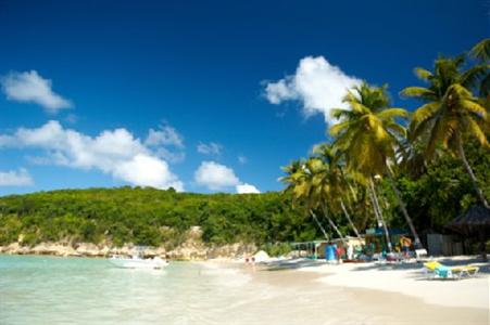 фото отеля Halcyon Cove by Rex Resorts