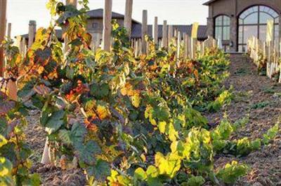 фото отеля Embassy Suites Temecula Valley Wine Country