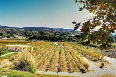 фото отеля Embassy Suites Temecula Valley Wine Country