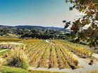 фото отеля Embassy Suites Temecula Valley Wine Country