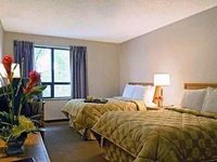 Comfort Inn Windsor