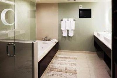 фото отеля Doubletree Hotel Chattanooga