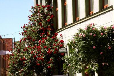 фото отеля Hotel Reingard
