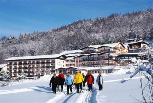 фото отеля Wellness & Ferienhotel Waldesruh