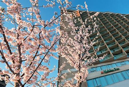 фото отеля Holiday Inn Rosslyn @ Key Bridge