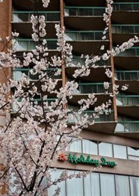 фото отеля Holiday Inn Rosslyn @ Key Bridge