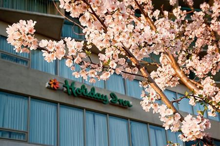 фото отеля Holiday Inn Rosslyn @ Key Bridge