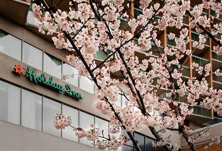 фото отеля Holiday Inn Rosslyn @ Key Bridge