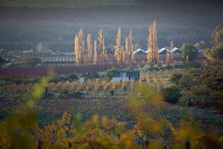 фото отеля Fancourt