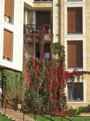 фото отеля Los Acebos Hotel Parres