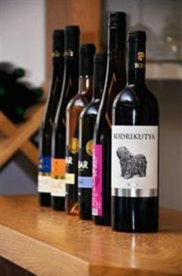 фото отеля Hotel Bonvino Wine and Spa Badacsony
