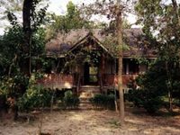 Chitwan Jungle Lodge