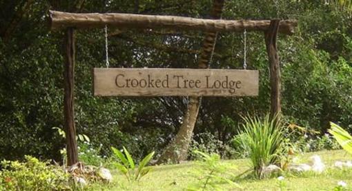 фото отеля Crooked Tree Lodge