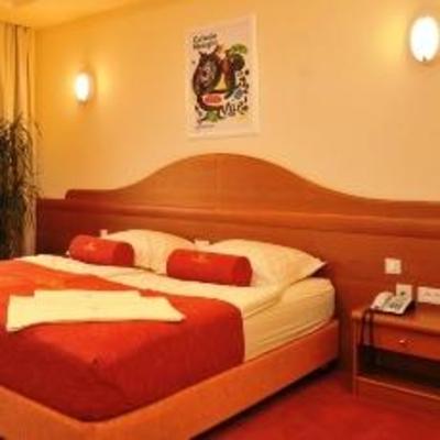 фото отеля Hotel Venko