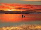 фото отеля Aroa Beachside Inn Rarotonga