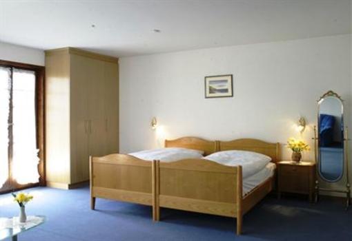 фото отеля Hotel Le Gruyerien