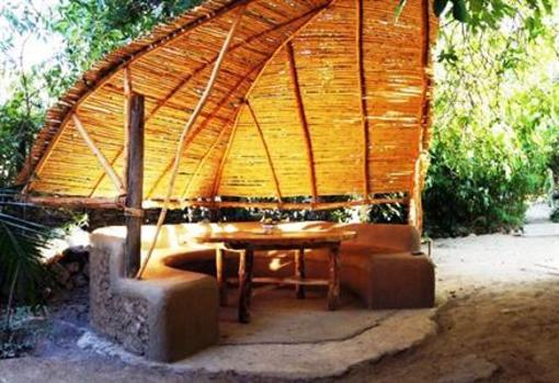 фото отеля Hostal Triskel Vicuna